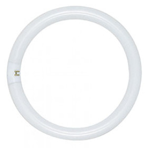 SATCO S6501 22W FC8T9/D 22W DAYLIGHT BULB