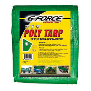 G-FORCE 93192 12' X 16' GREEN AND SILVER HEAVY DUTY POLY TARPAULIN