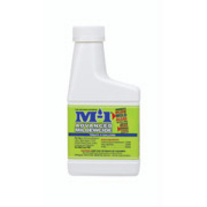 SUNNYSIDE M-1 AM7.5 00017 7.5 OZ ADVANCED MILDEW TREATMENT